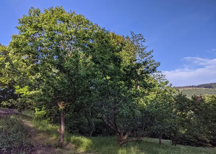 Thwaite House * 科尼斯顿